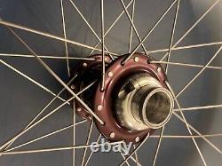 Front 26 carbon mountain bike wheel. King Hub