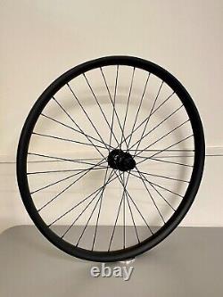 New 29 Tubeless Carbon Rear Mountain Bike Wheel DT Swiss 12x142 Sapim CX Ray